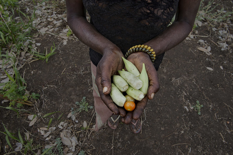 Foto: © Miguel Lizana / AECID