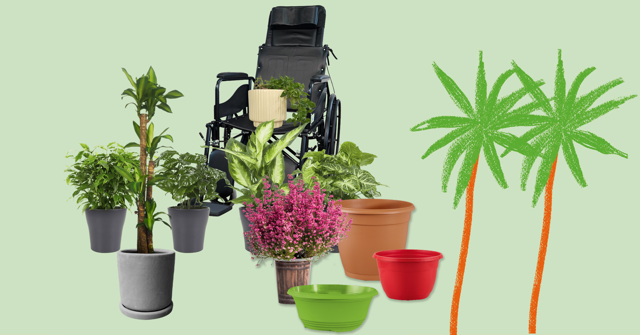 Clnica de plantas