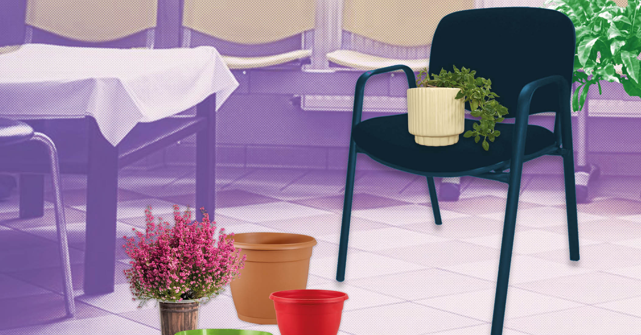 Clnica de plantas
