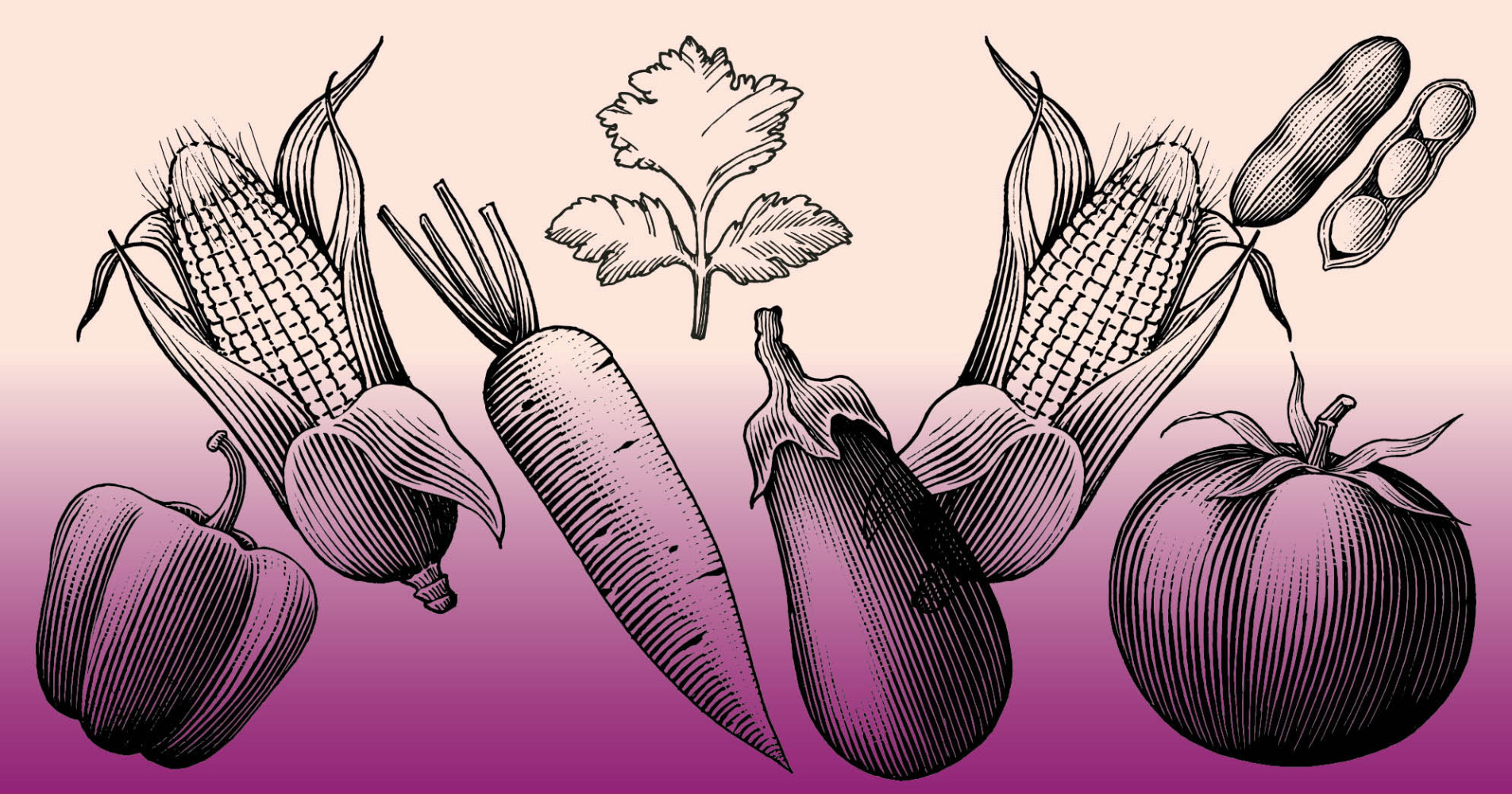 Mercadito agroecolgico de agosto