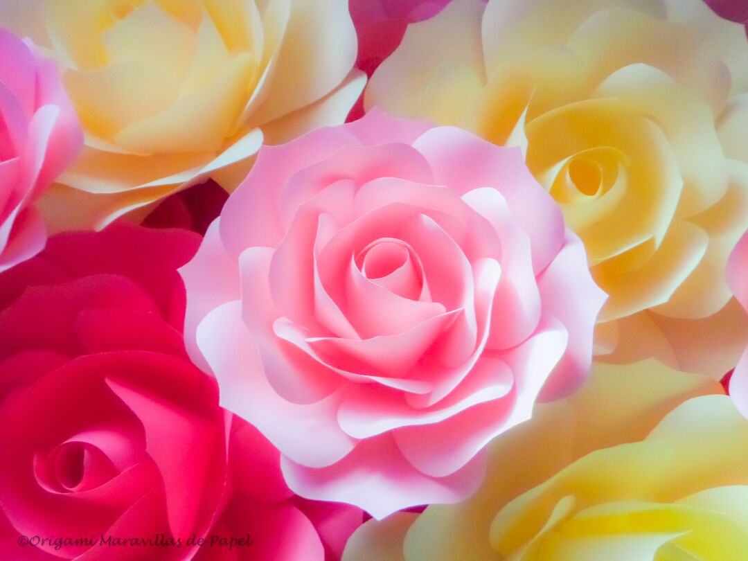 Recreando Rosas gigantes de papel