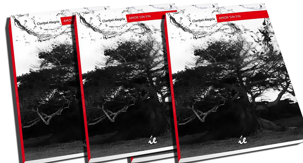 Amor sin fin una obra de Claribel Alegra