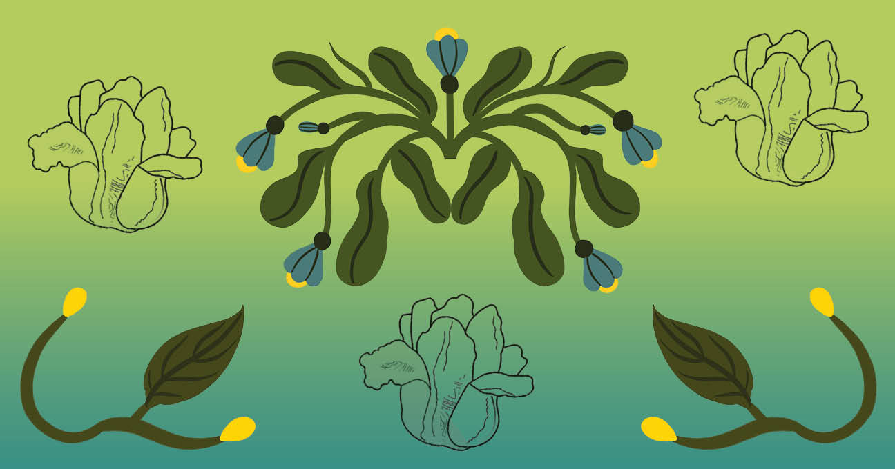 Taller El huerto de mi casa 2025