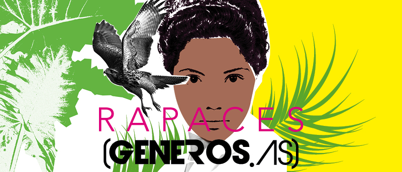 Seleccionados a Convocatoria RAPACES GENEROSAS