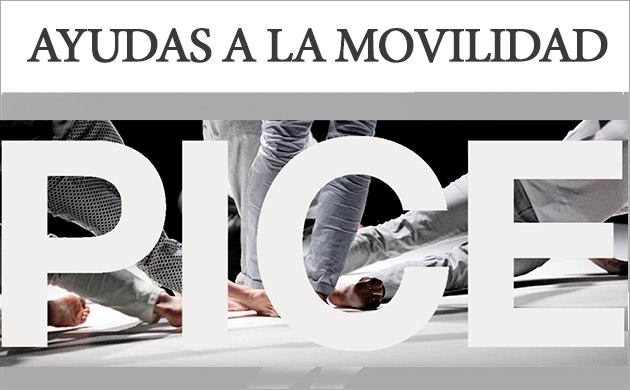 Convocatoria Ayudas a la movilidad PICE
