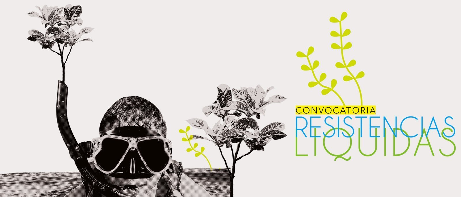 Quines participan en Resistencias Lquidas