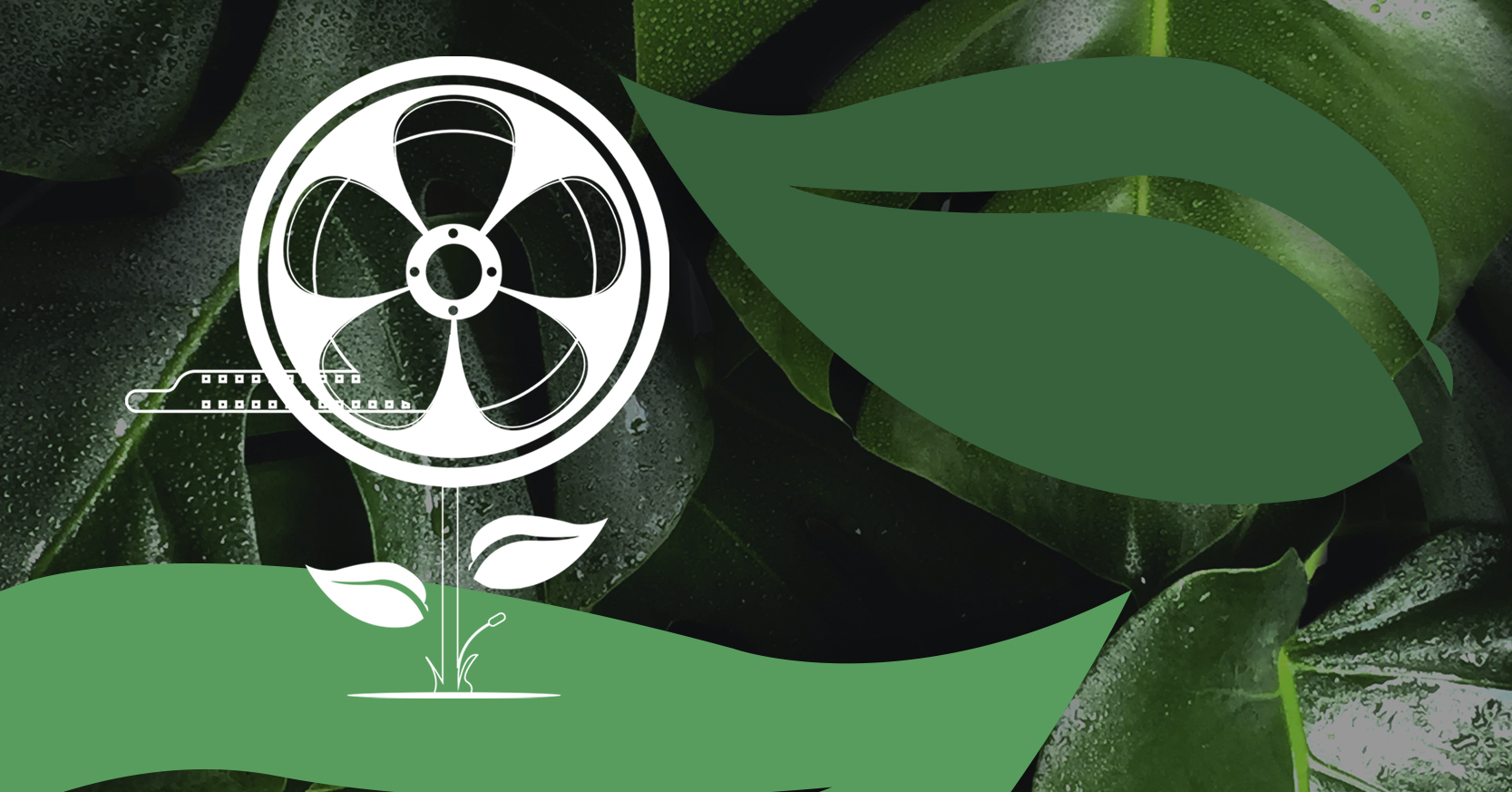 Cine y medioambiente en Centroamrica y el Caribe Conversatorio con los directores