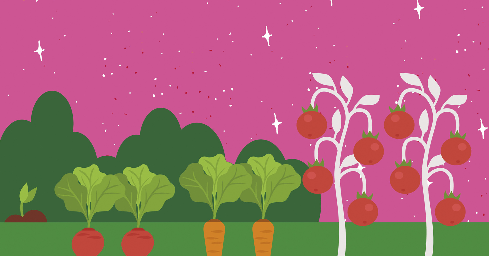 El huerto de mi casa