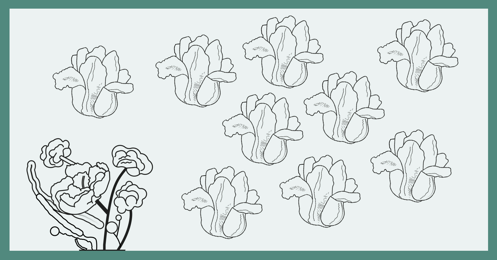 El huerto de mi casa