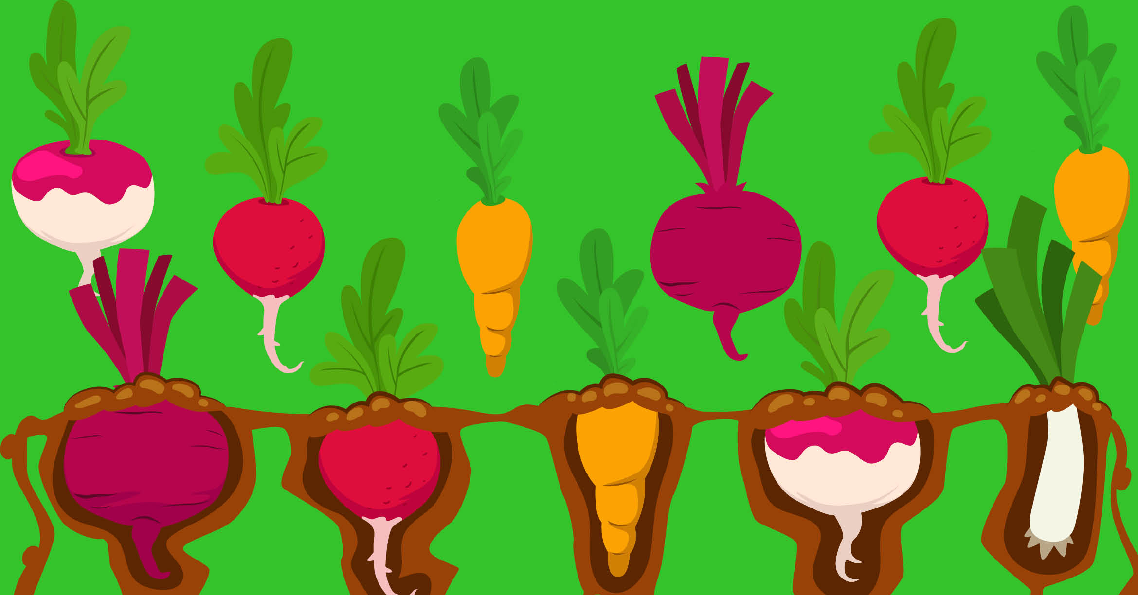 Taller de permacultura para familias