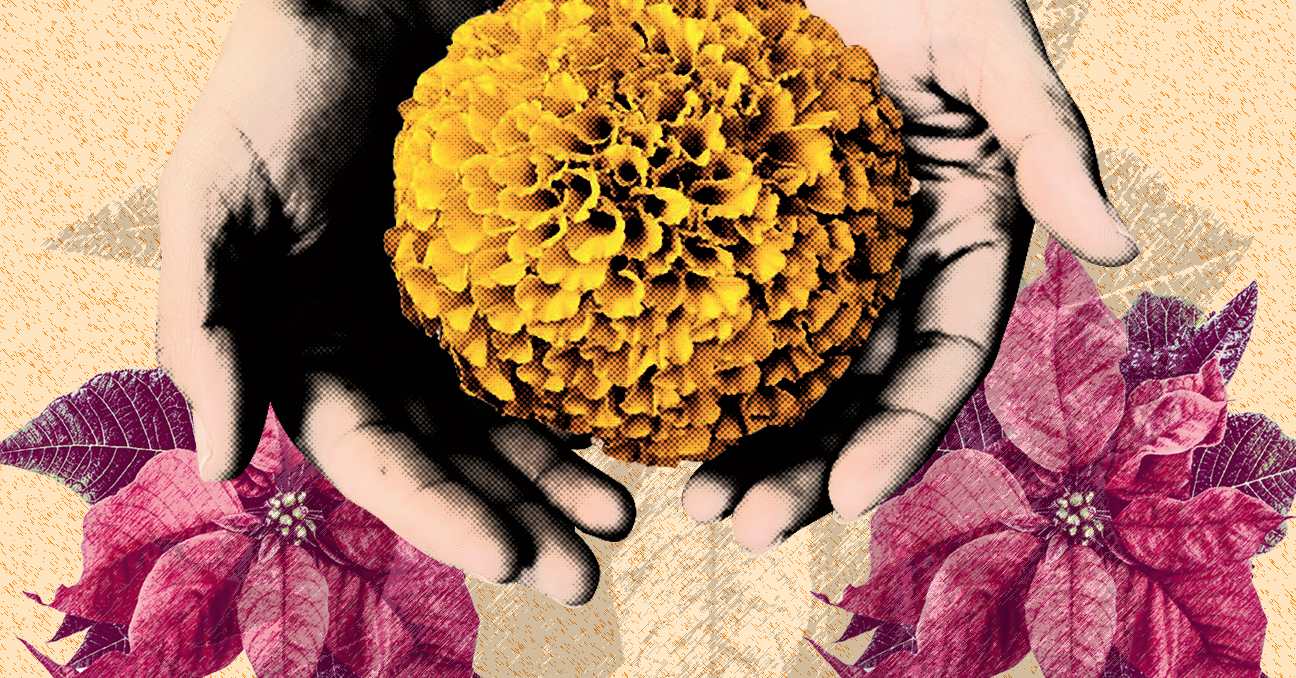 Unas manos sostienen una flor amarilla, rodeadas por una flores de pascuas. 