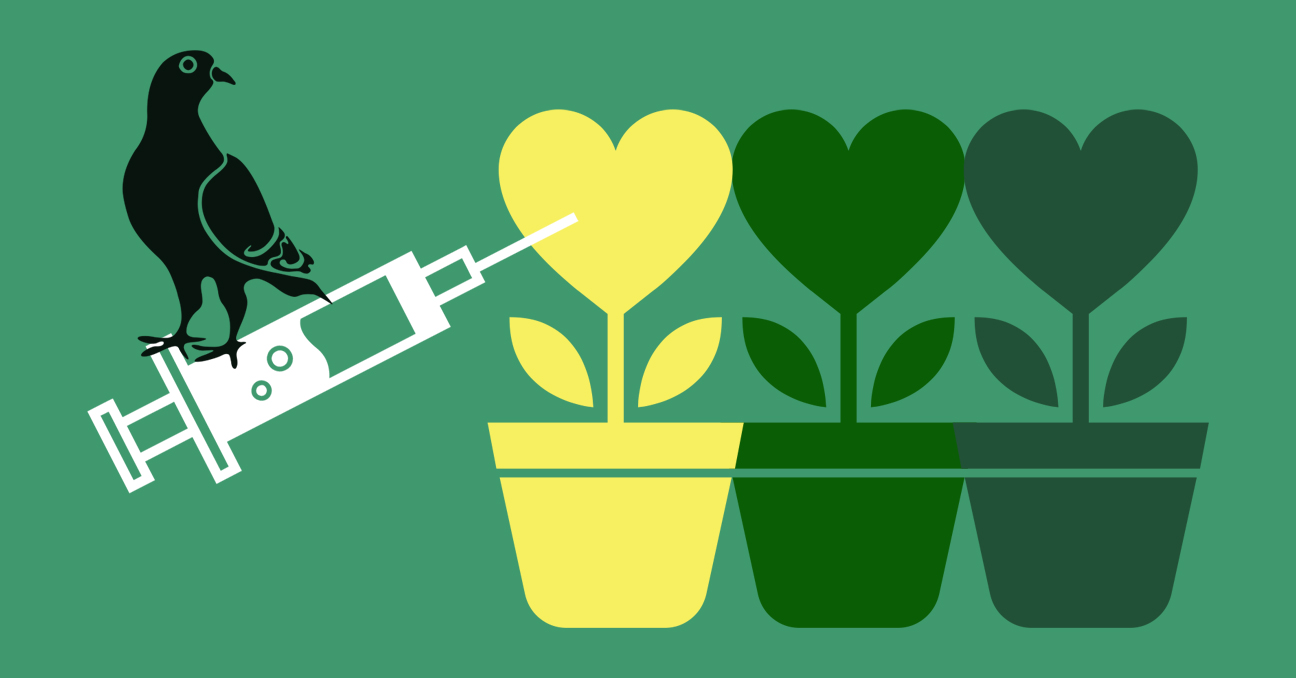 Una ilustración sobre fondo verde con tres macetas donde cada planta es un corazón. Una jeringuilla parece inyectar algo en la primera planta y sobre esa jeringuilla se posa una paloma.