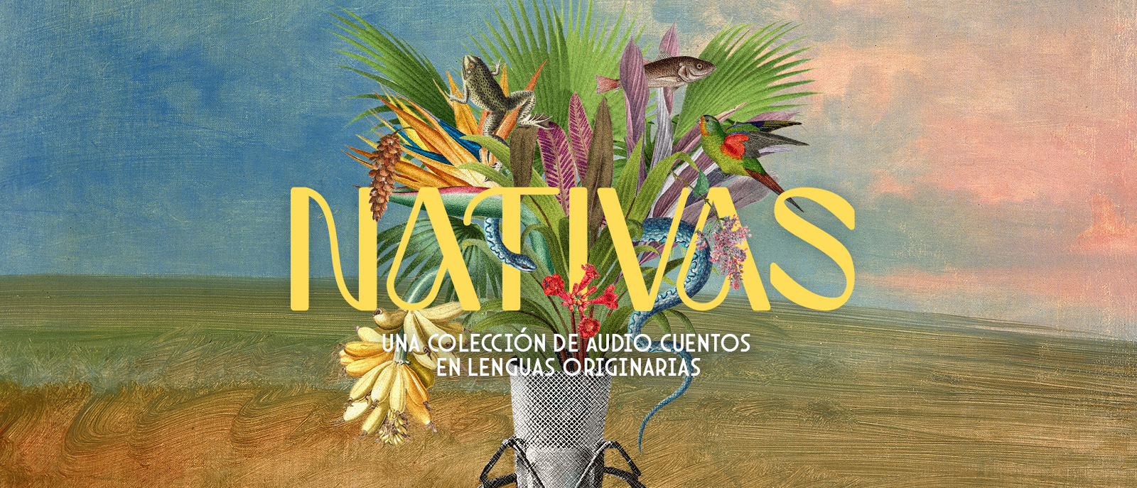 Cartel Nativas