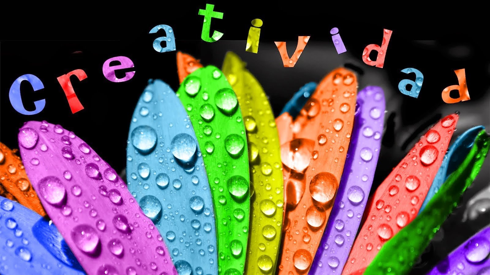 Taller de Expresin creativa