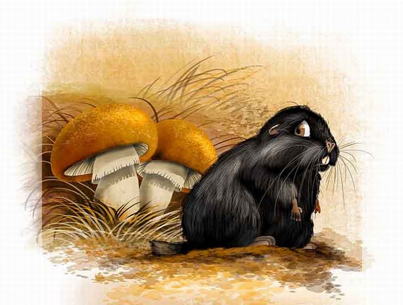 Club de Lectura Mi libro me alimenta