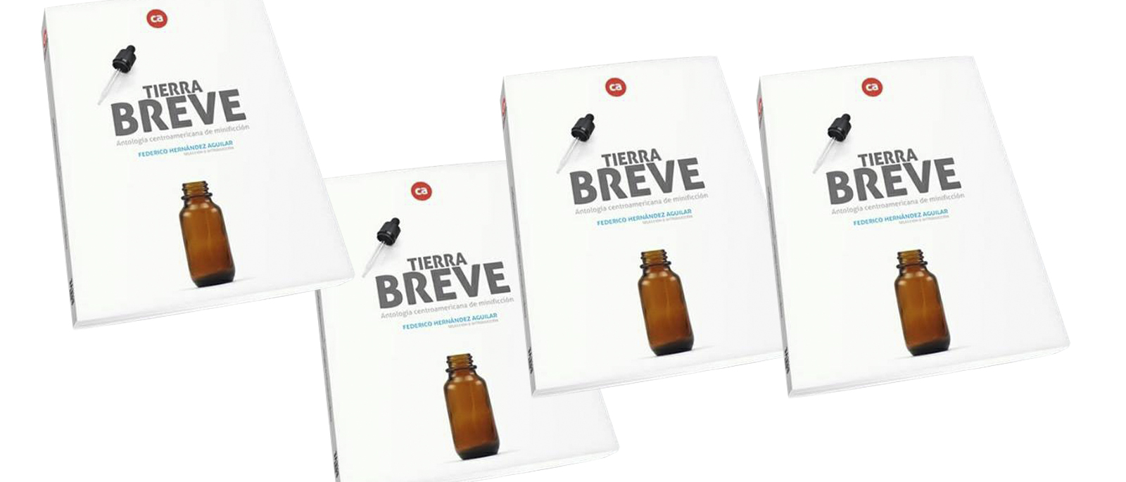 Presentacin de libro Tierra Breve