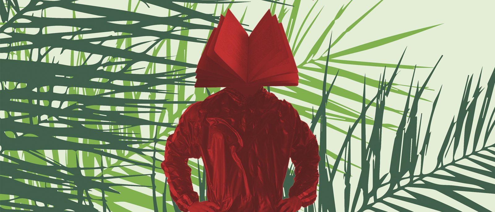 Hablemos sobre la Coleccin Revuelta en Cabeza de Libro