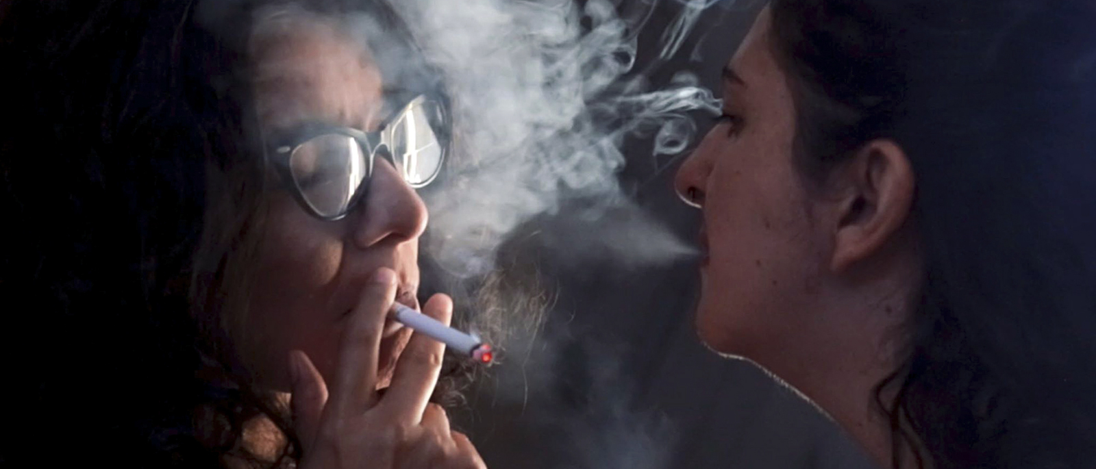 Exposicin Rapaces GENEROSAS