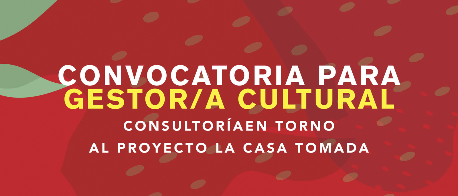 Convocatoria para Gestora Cultural