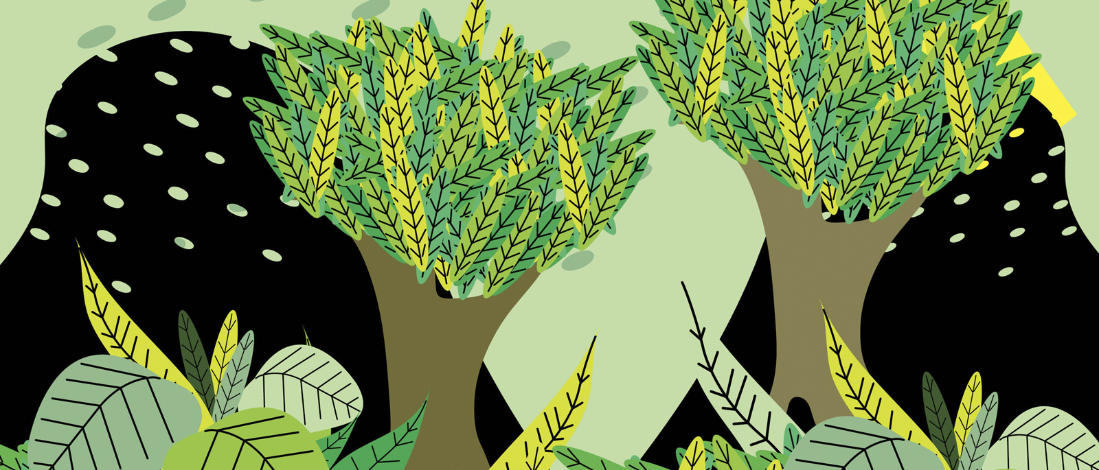 Taller de elaboracin de Tinturas