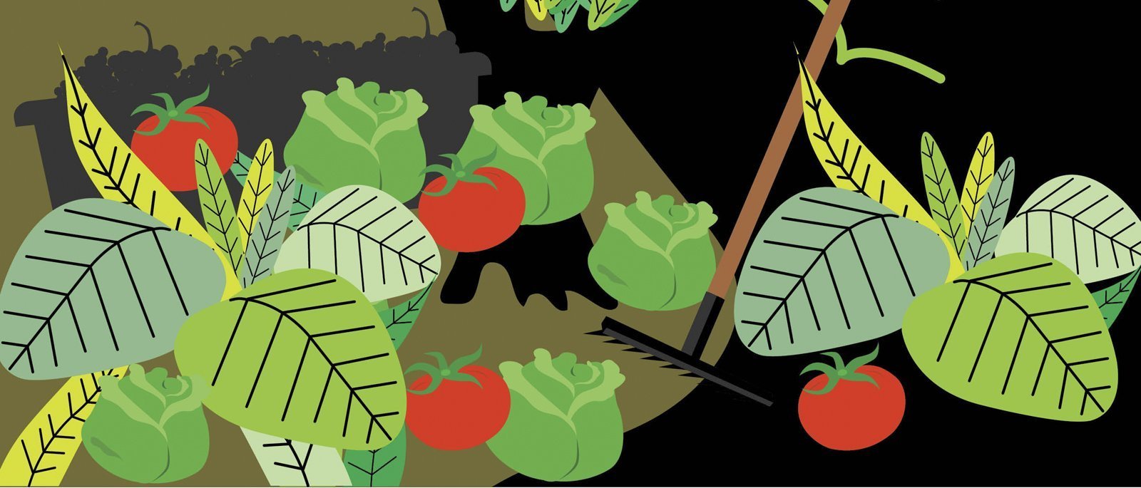 Curso de Huertos caseros