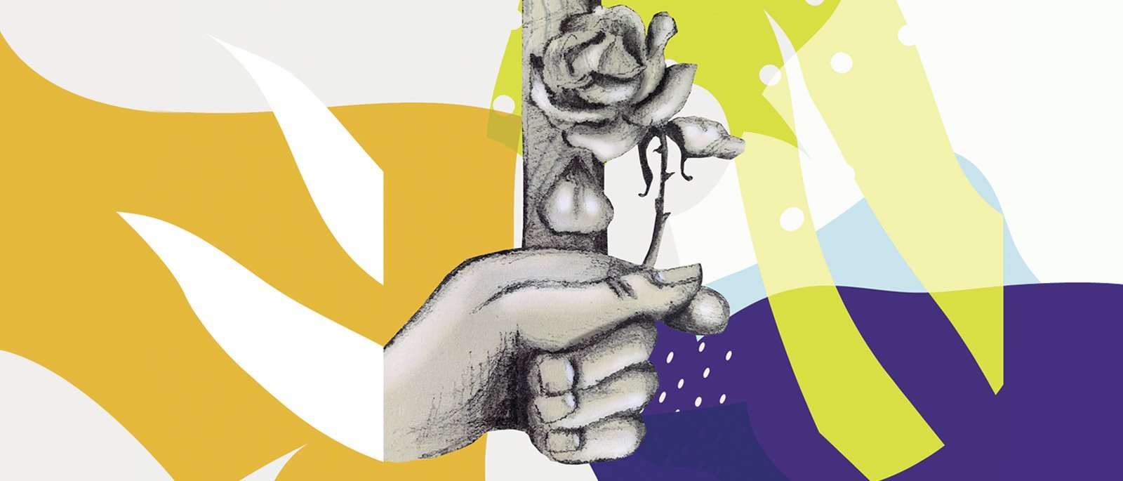 Presentacin de libro 476