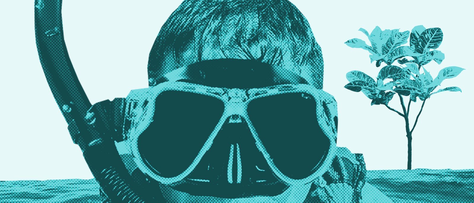 Resistencias Lquidas Laboratorios abierto