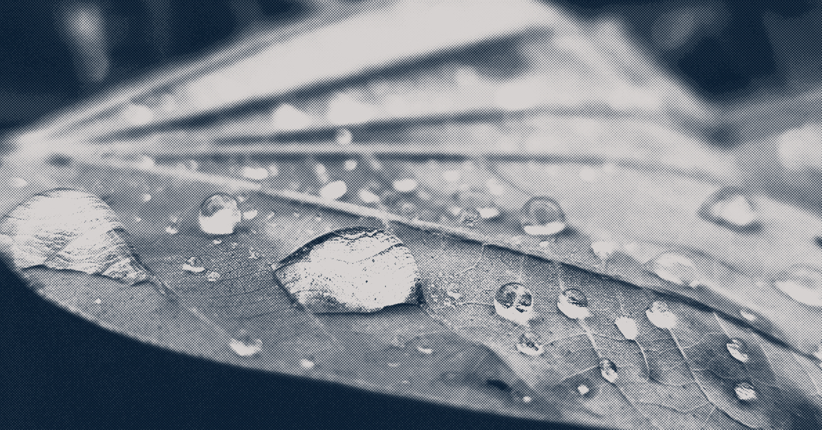 AlertaPlaneta Recursos Hdricos