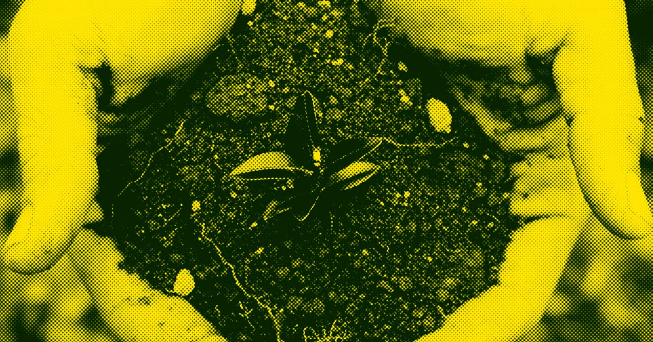 AlertaPlaneta Reactivacin socioambiental y econmica despus del covid19