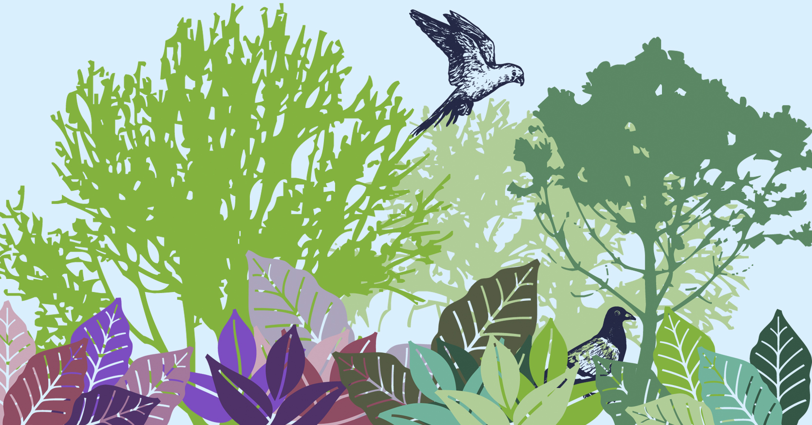 AlertaPlaneta Derechos Ambientales