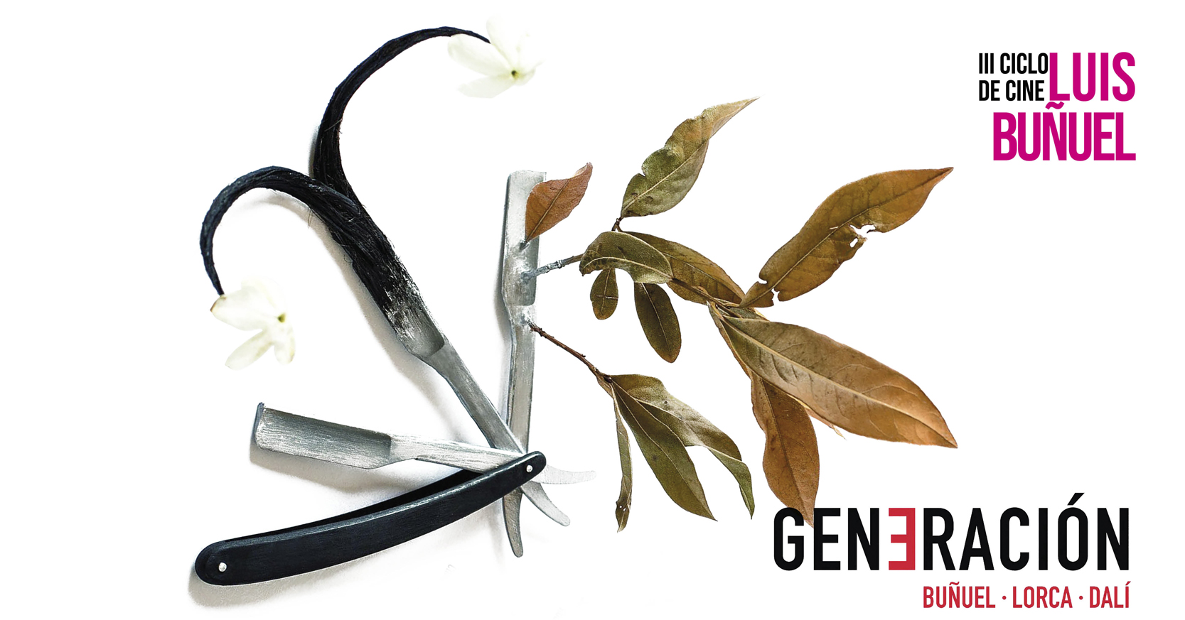 Generacin Buuel Lorca Dal