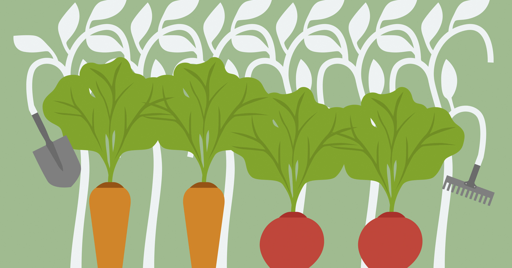 Encuentro de Siembra y Semilla