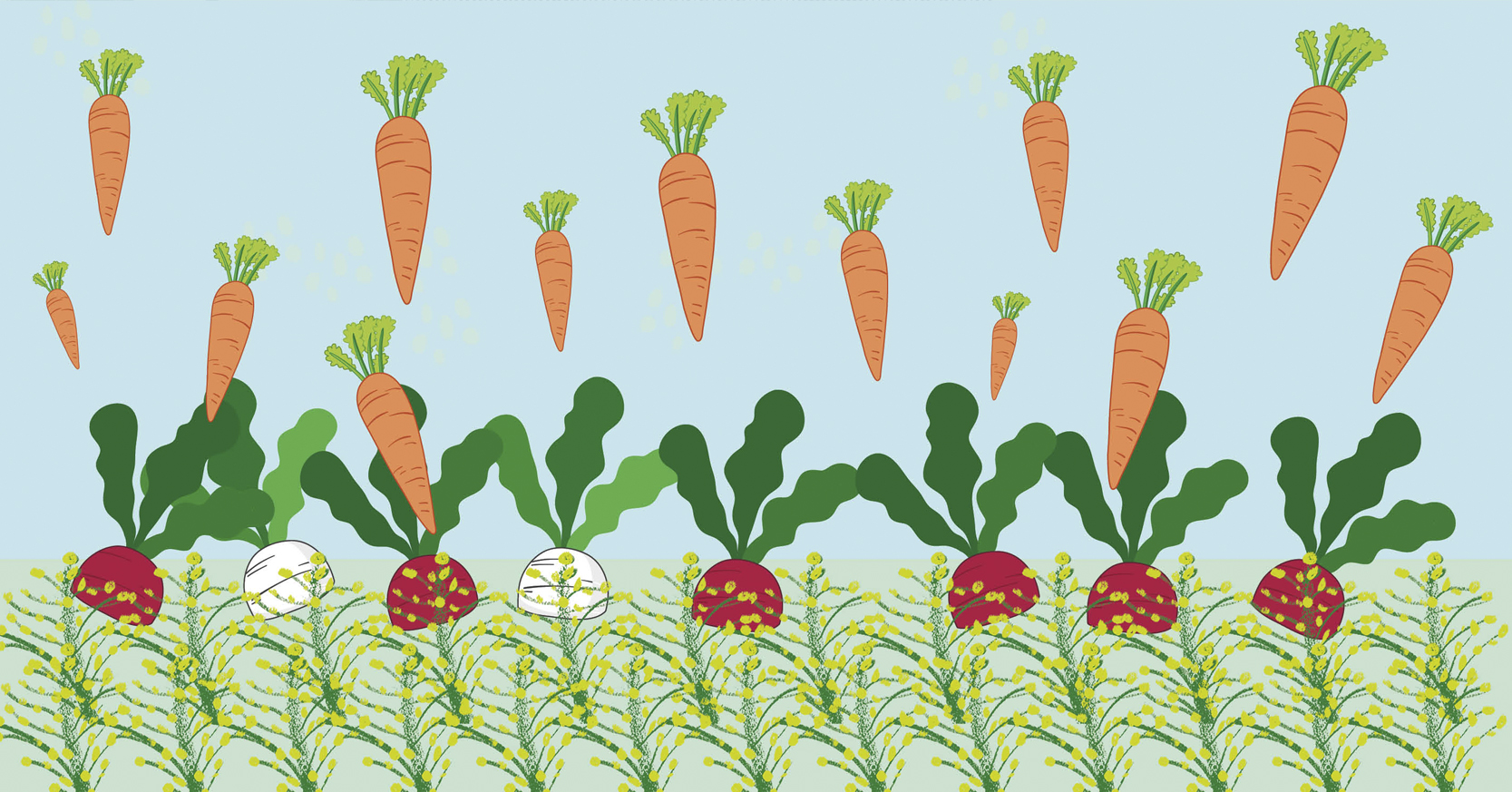 Taller El Huerto de mi casa Tercera edicin