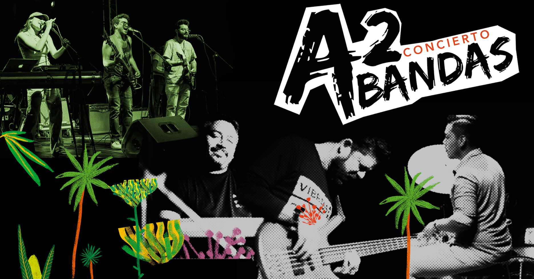 A2Bandas Triplicao Carrot