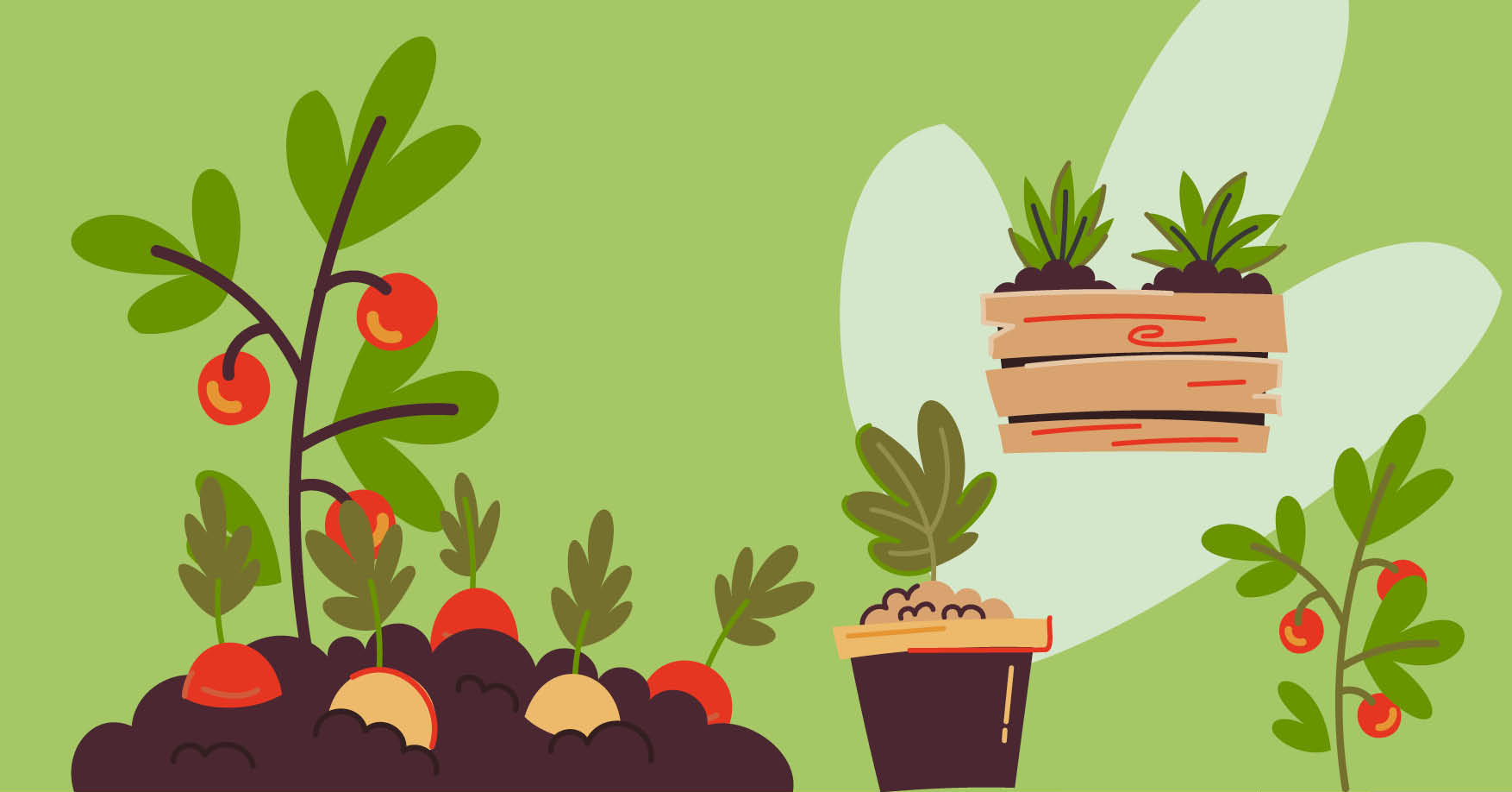 Clnica de plantas Mercadito Agroecolgico