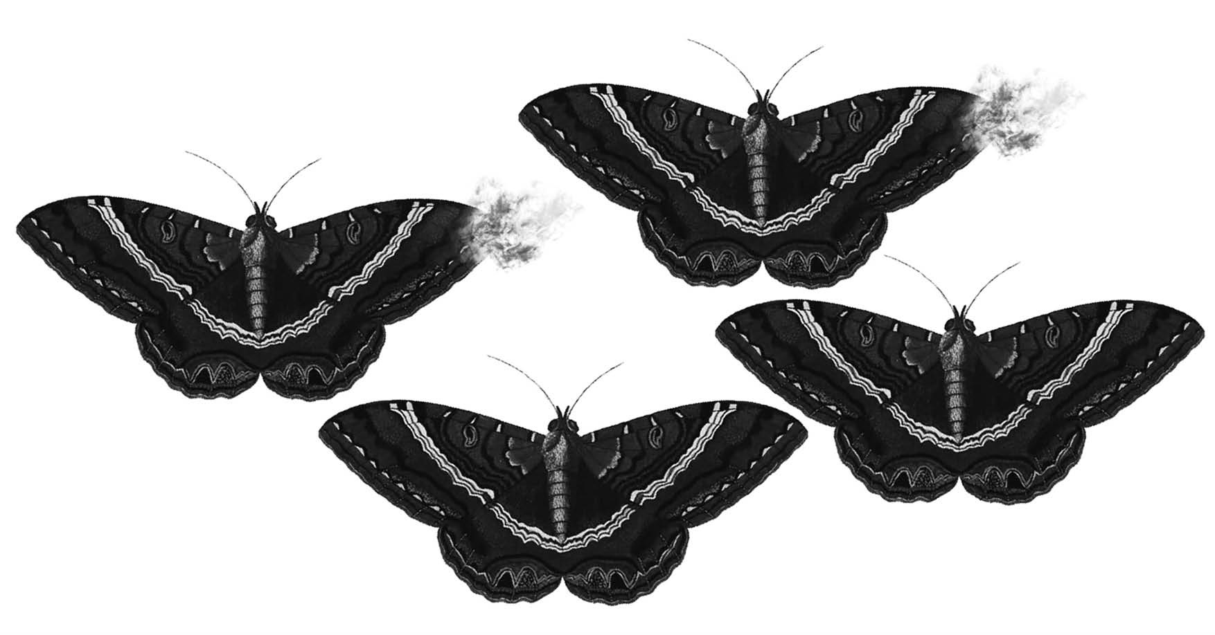 Presentacin de libro Pedagogas de la muerte