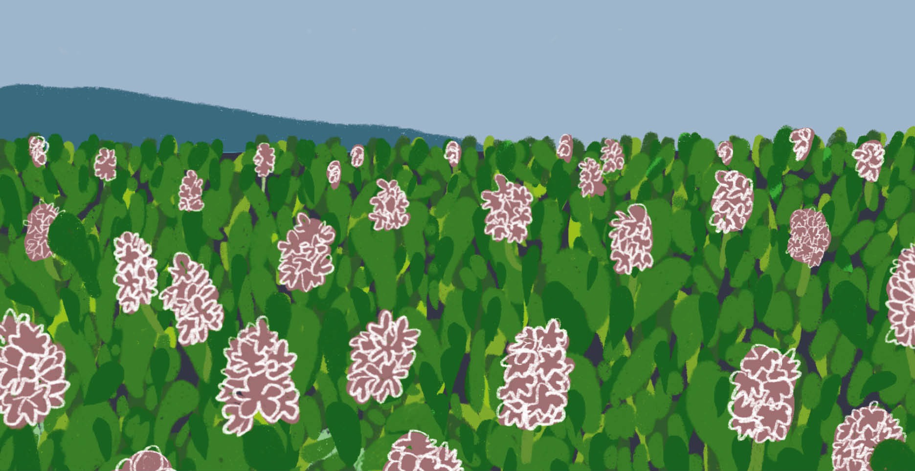 Cartografas Lquidas Liceo Francs SV