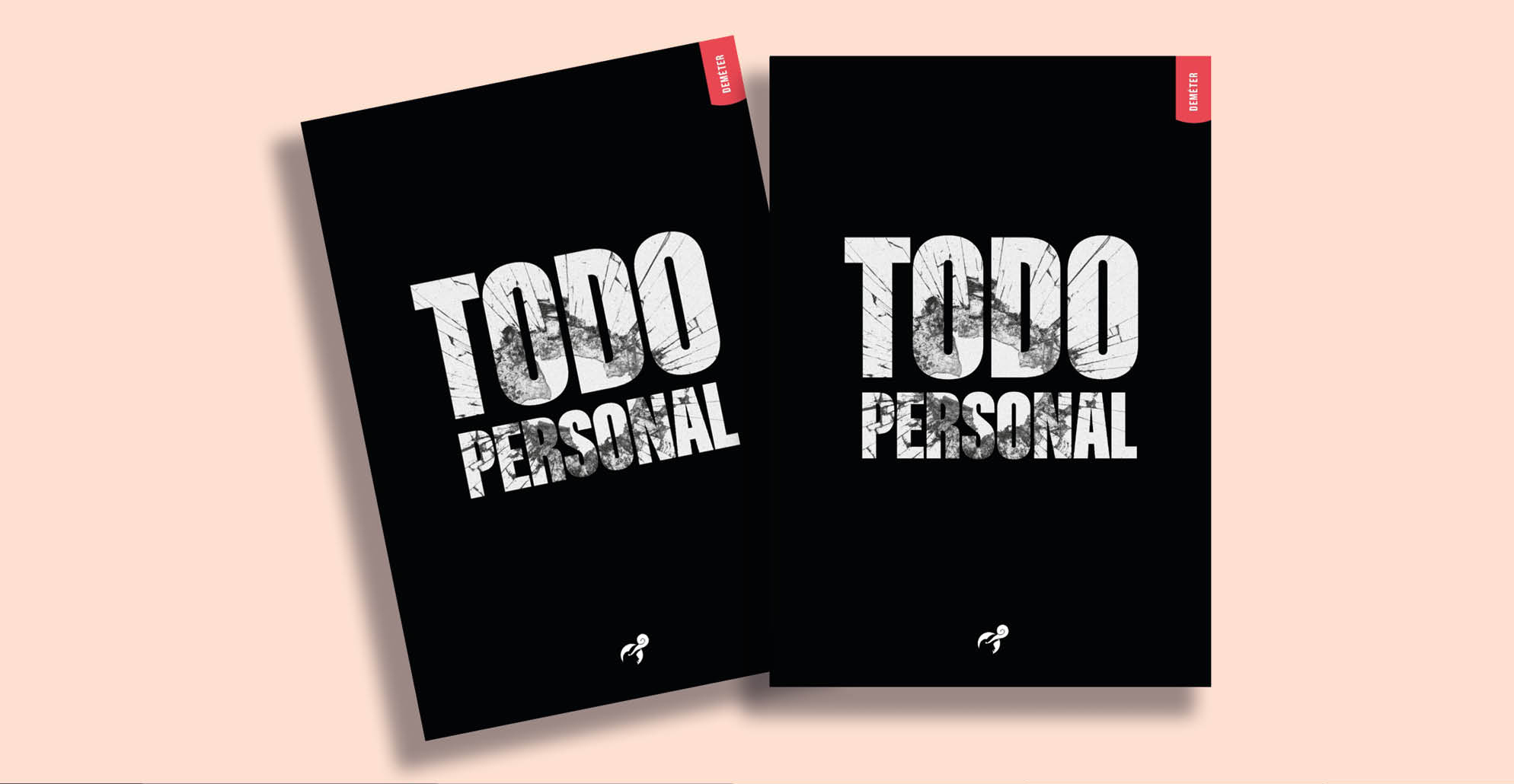 Conversatorio con Yurina Melara Valiulis autora de Todo personal