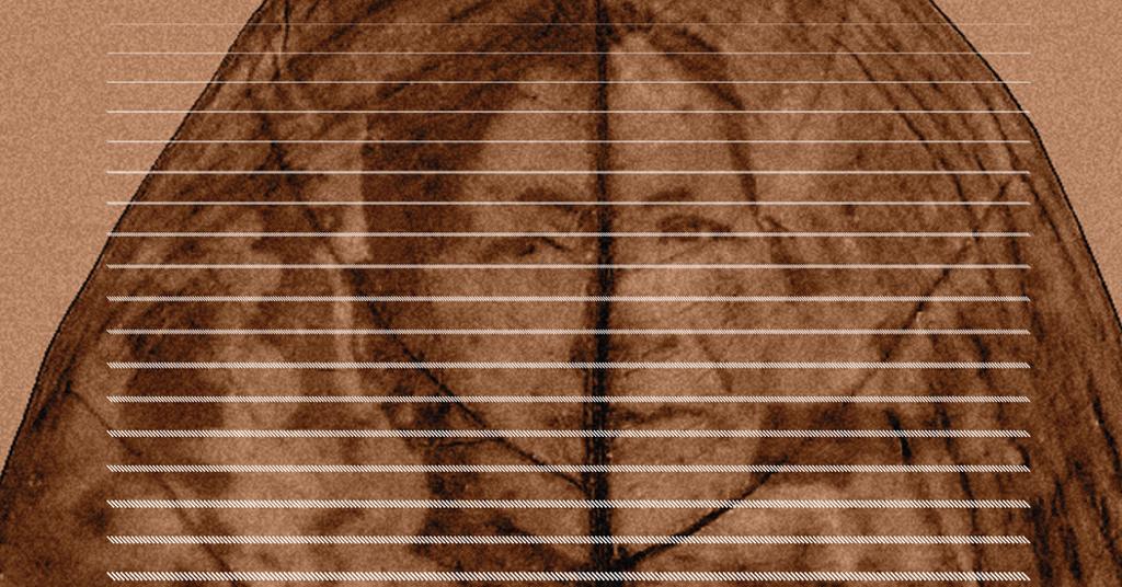 Presentacin de Impdica Bioceno