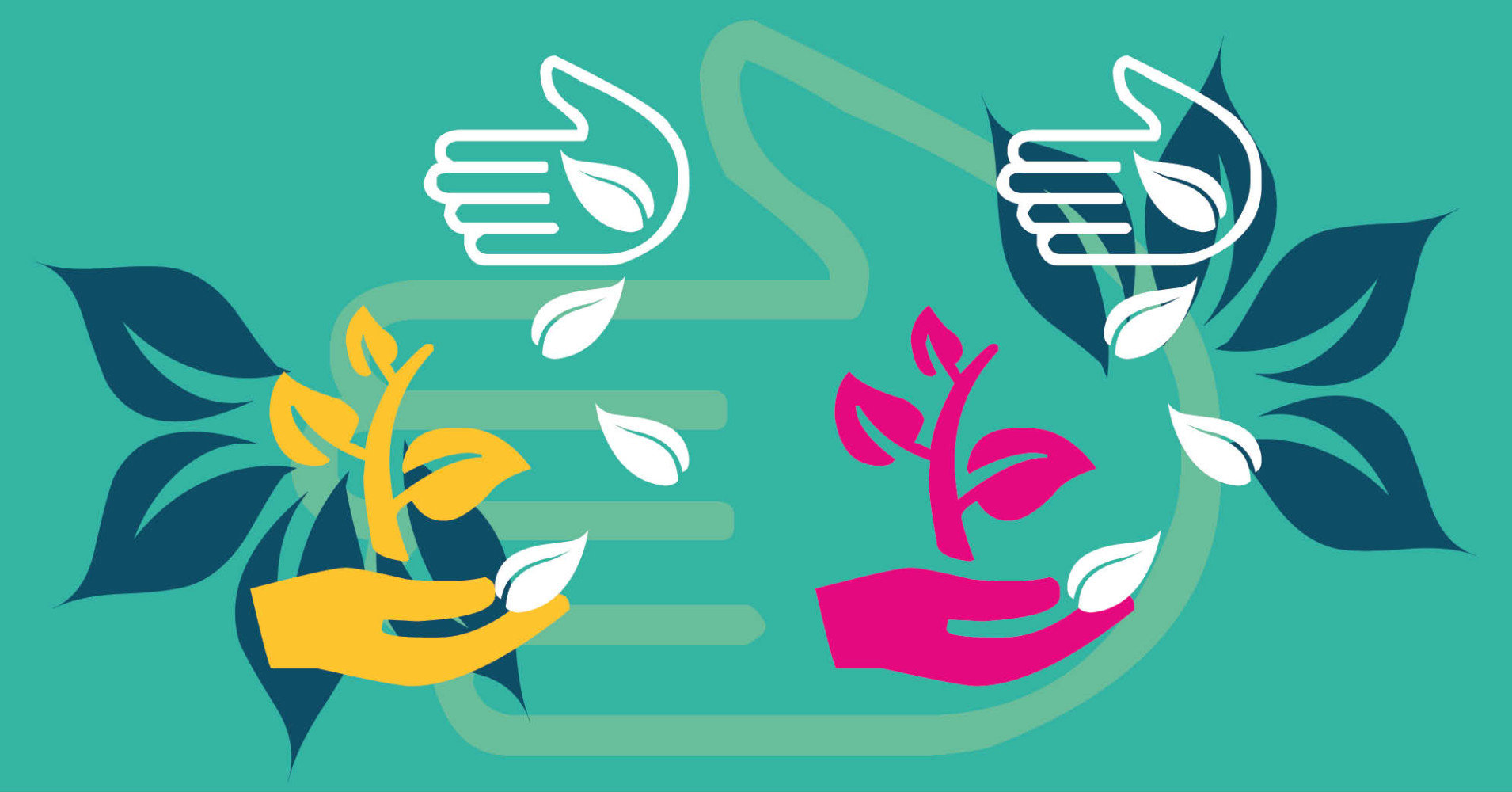 Intercambio de semillas y saberes