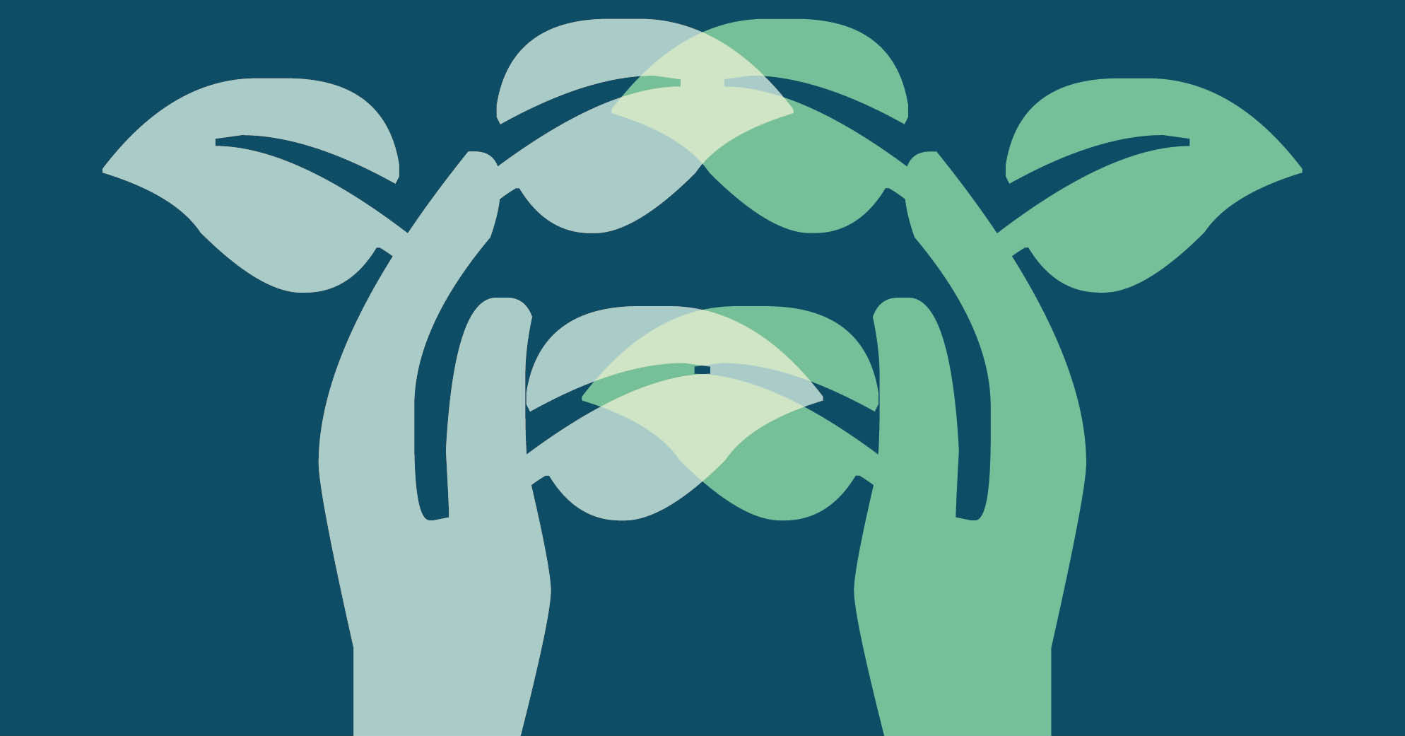 El huerto de mi casa