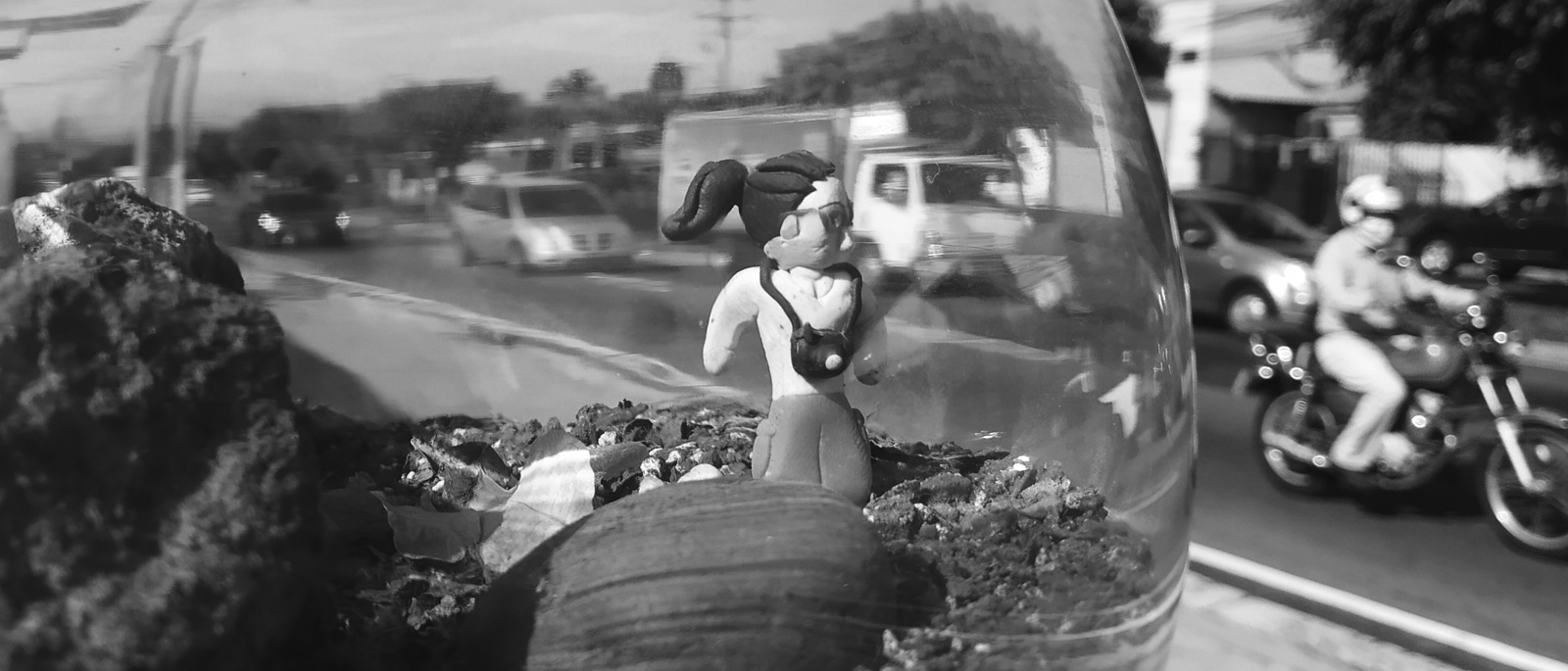 Muñeca vista a través de cristal