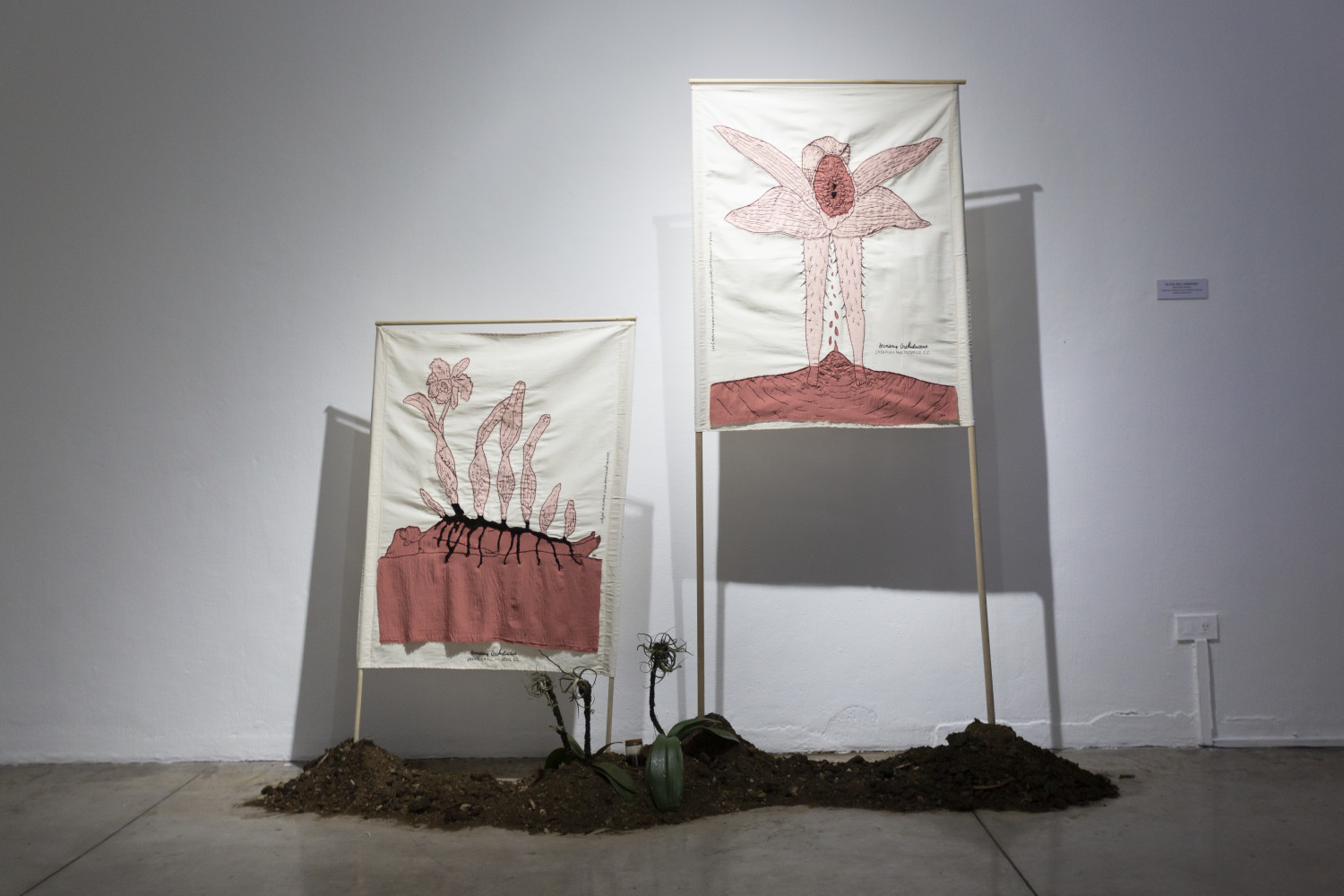 Hijxs del Compost Instalación de bordados con hilo de algodón y orquídeas Medidas variables// Gabriela Novoa. 2024