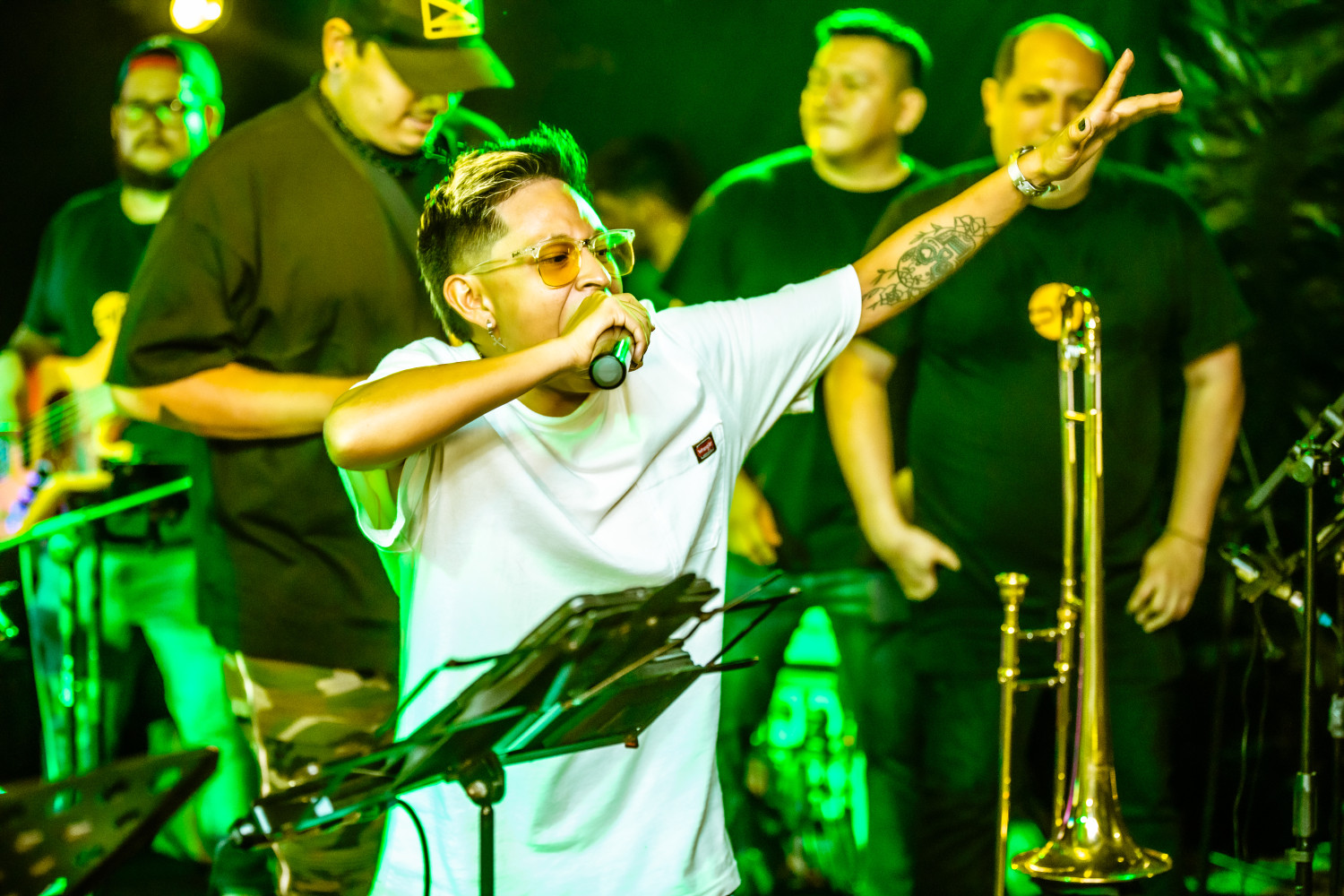 Cantante sobre el escenario