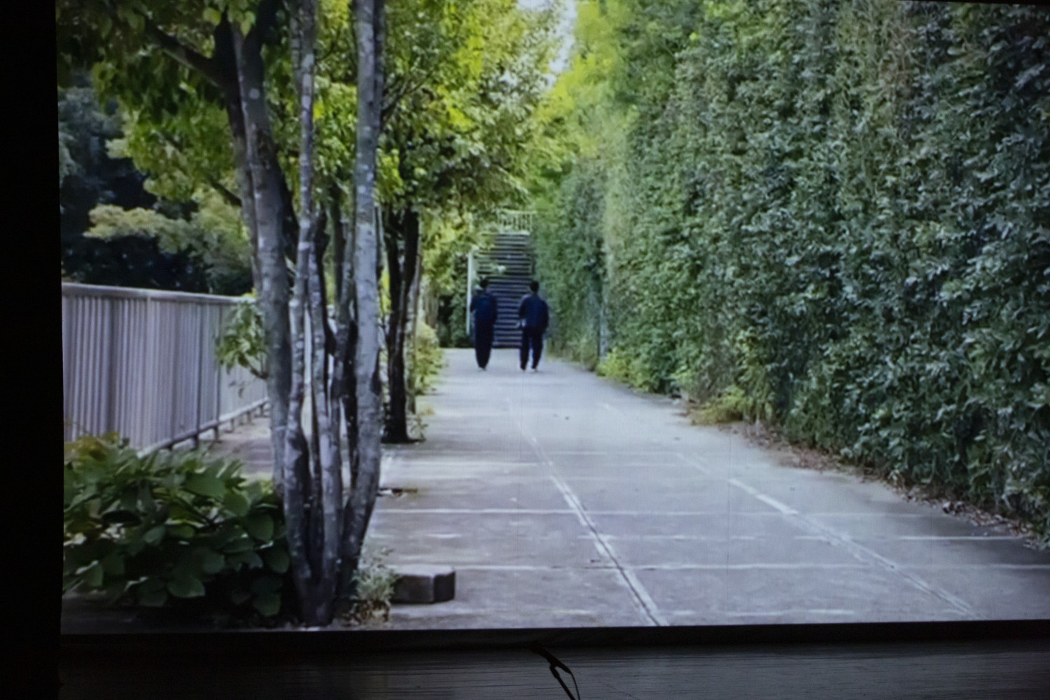 Dos personas caminando