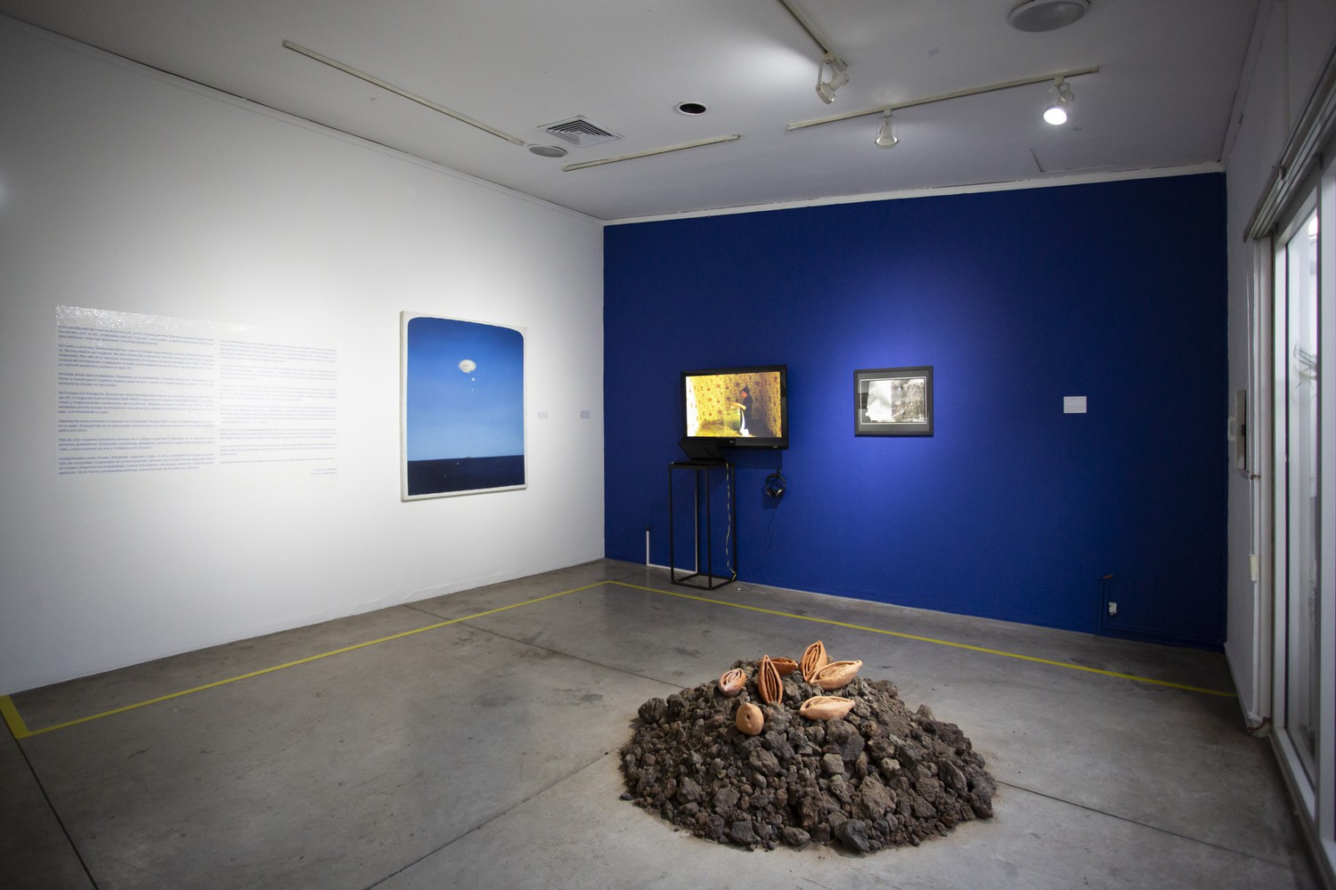 Sala de exposición con pared de fondo azul oscura